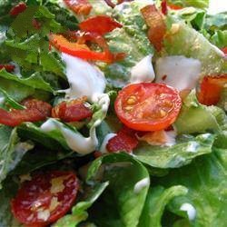 American Salad with Lettuce Tomato and Bacon Appetizer