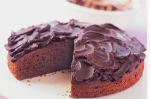 American Spiced Sour Cream Chocolate Cake Recipe Dessert