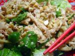 Thai Thai Chicken Salad 14 Appetizer