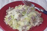 American Beef  Cabbage Alfredo Dinner