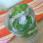 American Mint Ice Cubes Recipe Appetizer
