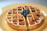 American Blueberry Heaven Wheat Pancakeswaffles Breakfast