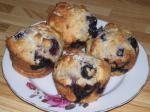 American Fatfree Sugarfree  Cholesterolfree Blueberry Muffins Dessert