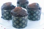 Irish Double Chocolate Cupcakes Recipe 2 Dessert