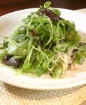 Lettuces Sprouts and Snow Peas With Radish Water Recipe recipe