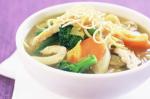 Chinese Chicken Chow Mein Recipe 17 Dinner