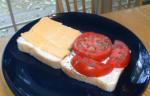 Italian Fresh Tomato Sandwich Appetizer
