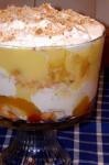 American Tipsy Tropical Trifle Dessert