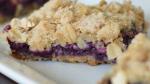 Canadian Blueberry Squares Recipe Dessert