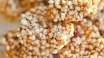 Canadian Puffed Millet Squares Recipe Dessert