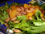 American Mandarin Orange Spinach Salad Appetizer