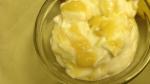 American Bananas About Homemade Yogurt Recipe Drink