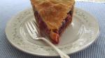 American Berry Rhubarb Pie Recipe Dessert