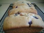 American Blueberrynut Mini Loaves Dessert