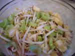 British Bean Sprout Celery and Apple Salad Appetizer
