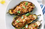 American Bolognesestuffed Eggplants Recipe Appetizer