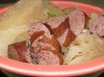 Polish Polish Sausage and Cabbage Dinner Appetizer