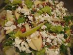 Iranian/Persian Pear and Goat Cheese Salad Appetizer