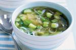 American Spring Vegetable Soup Recipe 1 Appetizer