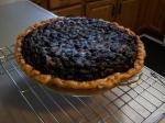 American Blueberry Custard Pie 1 Dessert