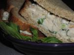 British Parmesan Chicken Salad Sandwiches Appetizer