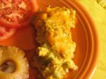 Indian Broccoli Casserole 150 Appetizer