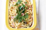 American Dairyfree Macaroni And Cheese Recipe Appetizer