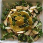 American Field Salad with Oranges and Apples Appetizer