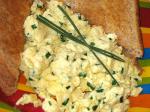 American Scrambled Eggs With Chives and Asiago Appetizer