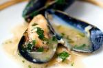 Alesteamed Mussels With Garlic and Mustard Recipe recipe