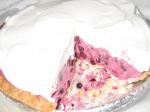 Canadian Blueberry Chantilly Pie 1 Dessert