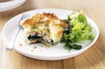 Canadian Tuna And Spinach Pies Recipe Appetizer