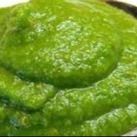 Indian Green Curry Paste Other