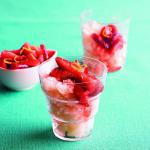 American Summerands Most Refreshing Dessert Lemon Ice Appetizer