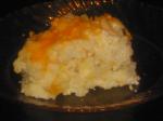 American Baked Hash Browns Casserole Appetizer