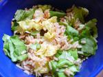 American Easy Rice Salsa Salad Appetizer