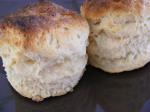 American Homemade Biscuit Mix  Substitute  Copycat  Clone Appetizer