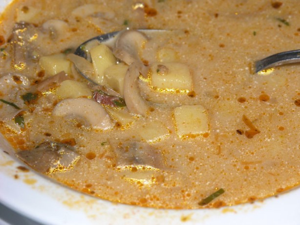 Croatian Croatian Mushroom Soup Appetizer