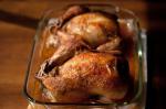 American Easy Cornish Game Hens Appetizer