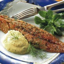 American Mackerel of Mustard Dill Sauce Appetizer