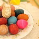 American Easter Eggs Naturally Colored Appetizer