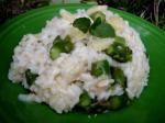 American Risotto With Asparagus Mint and Lemon Appetizer