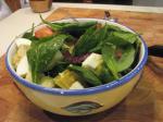 German Spinach Salad With Hot Bacon Dressing recipe