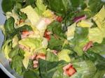 German Greens With Hot Bacon Dressing Appetizer
