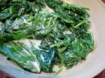 Canadian Sumptuous Spinach Appetizer