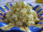 Swiss Potato Salad 78 Appetizer