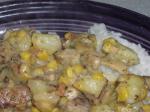 American Pheasant Hash Moist and Delicious Appetizer