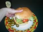 American Big Soft Hamburger Buns Appetizer