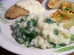 American Creamed Mashed Potatoes With Spinach Appetizer