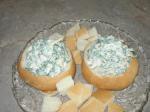 American Mother Bs Spinach Dip Appetizer
